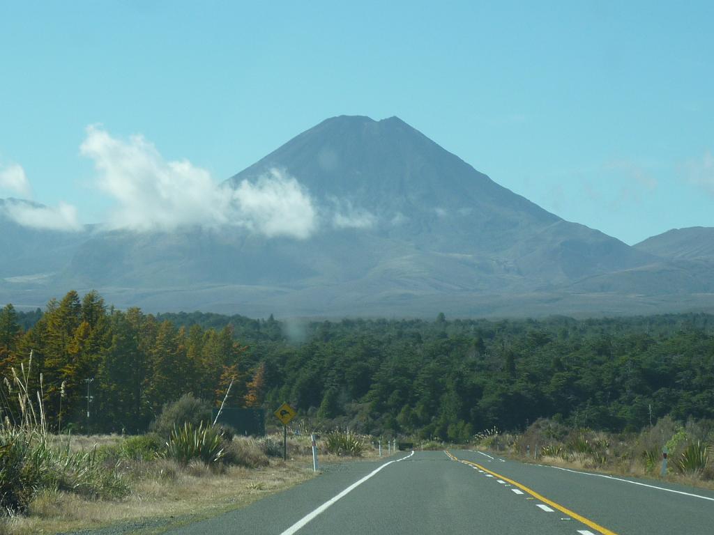 New_Zealand (843).JPG